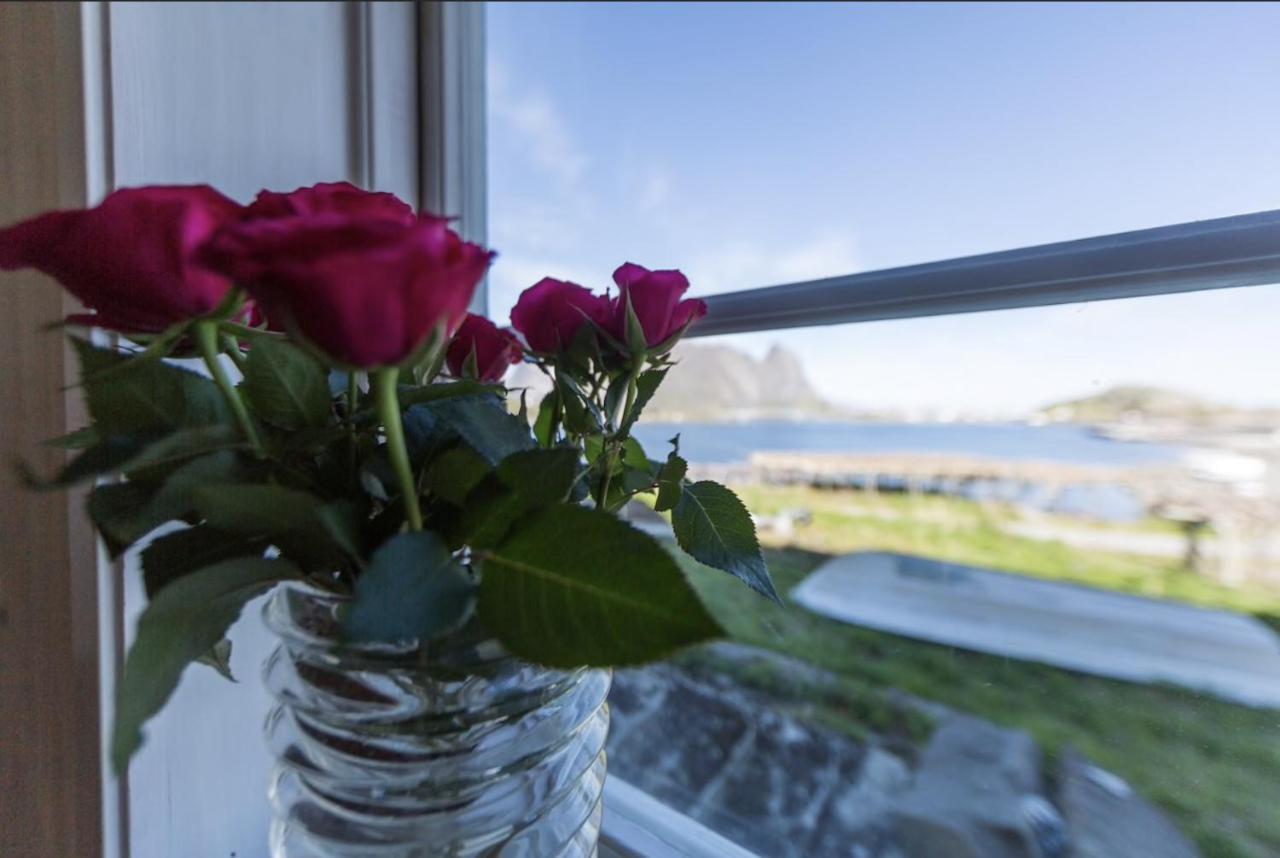 Séjour chez l'habitant Catogården - Boutique Home&activity Centre Reine